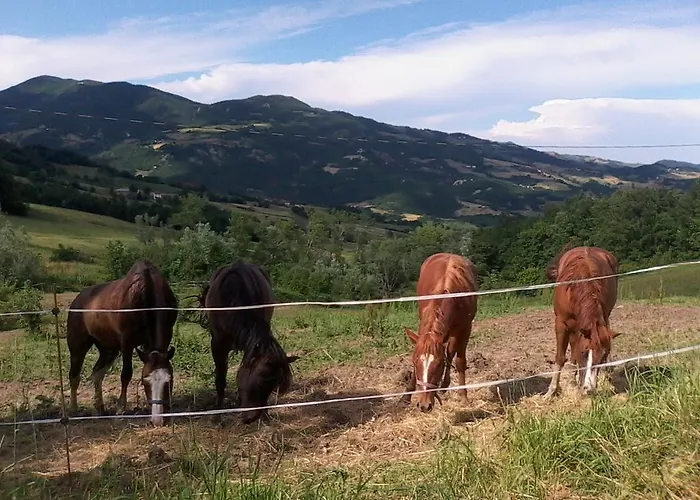 Çiftlik konaklama Everland