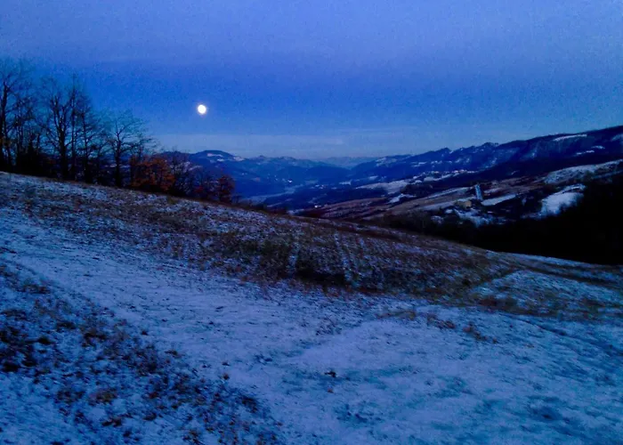 Lantgård Everland Varsi